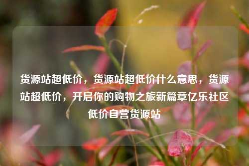 货源站超低价	，货源站超低价什么意思，货源站超低价，开启你的购物之旅新篇章亿乐社区低价自营货源站  第1张