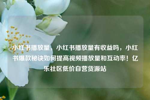 小红书播放量，小红书播放量有收益吗	，小红书爆款秘诀如何提高视频播放量和互动率！亿乐社区低价自营货源站  第1张