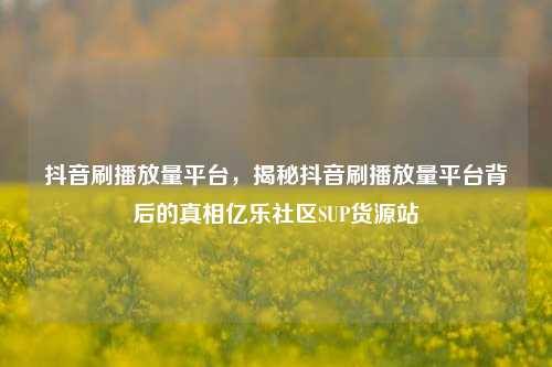 抖音刷播放量平台，揭秘抖音刷播放量平台背后的真相亿乐社区SUP货源站  第1张
