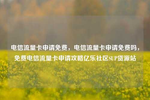 电信流量卡申请免费，电信流量卡申请免费吗，免费电信流量卡申请攻略亿乐社区SUP货源站  第1张
