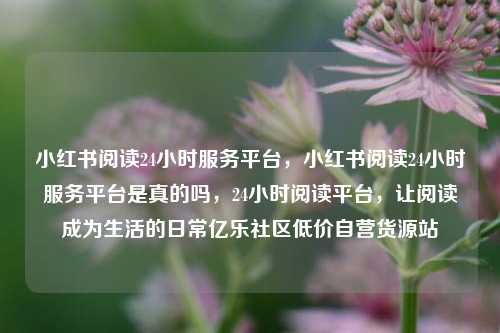 小红书阅读24小时服务平台，小红书阅读24小时服务平台是真的吗	，24小时阅读平台，让阅读成为生活的日常亿乐社区低价自营货源站  第1张