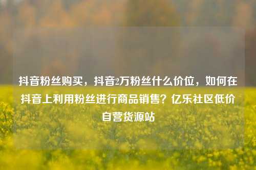 抖音粉丝购买	，抖音2万粉丝什么价位，如何在抖音上利用粉丝进行商品销售？亿乐社区低价自营货源站  第1张