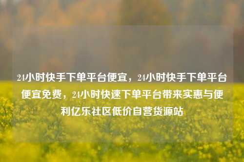 24小时快手下单平台便宜，24小时快手下单平台便宜免费，24小时快速下单平台带来实惠与便利亿乐社区低价自营货源站  第1张