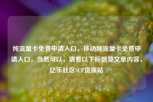 纯流量卡免费申请入口	，移动纯流量卡免费申请入口，当然可以，请看以下标题及文章内容	，亿乐社区SUP货源站  第1张