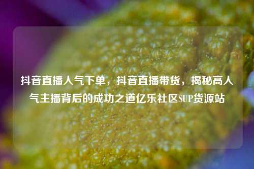 抖音直播人气下单	，抖音直播带货，揭秘高人气主播背后的成功之道亿乐社区SUP货源站  第1张