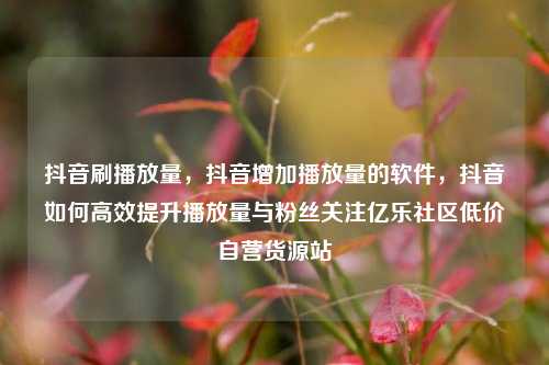 抖音刷播放量，抖音增加播放量的软件	，抖音如何高效提升播放量与粉丝关注亿乐社区低价自营货源站  第1张