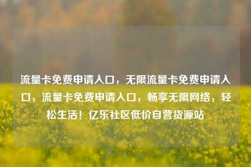 流量卡免费申请入口，无限流量卡免费申请入口	，流量卡免费申请入口，畅享无限网络，轻松生活！亿乐社区低价自营货源站  第1张