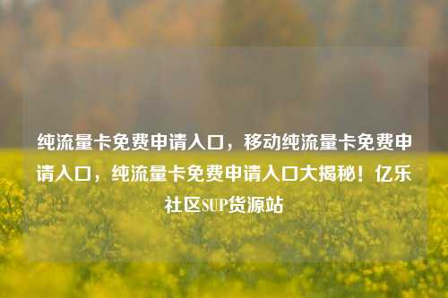 纯流量卡免费申请入口，移动纯流量卡免费申请入口，纯流量卡免费申请入口大揭秘！亿乐社区SUP货源站  第1张
