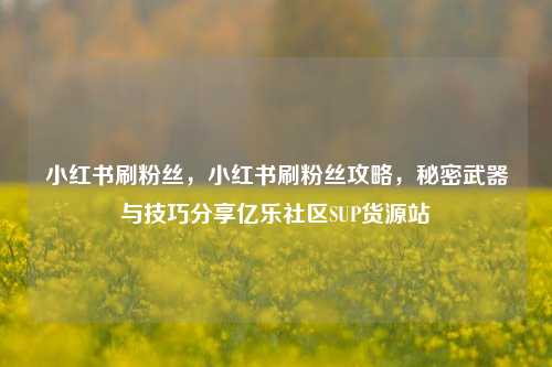 小红书刷粉丝，小红书刷粉丝攻略，秘密武器与技巧分享亿乐社区SUP货源站  第1张