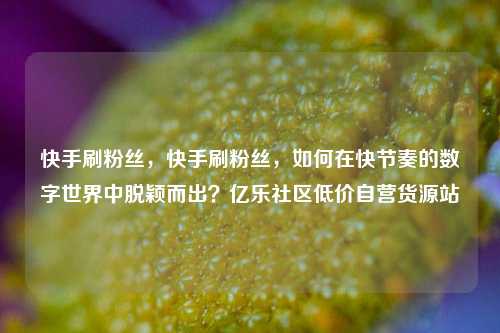 快手刷粉丝，快手刷粉丝，如何在快节奏的数字世界中脱颖而出？亿乐社区低价自营货源站  第1张