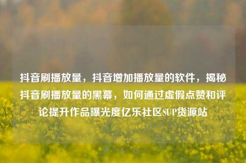抖音刷播放量，抖音增加播放量的软件	，揭秘抖音刷播放量的黑幕，如何通过虚假点赞和评论提升作品曝光度亿乐社区SUP货源站  第1张