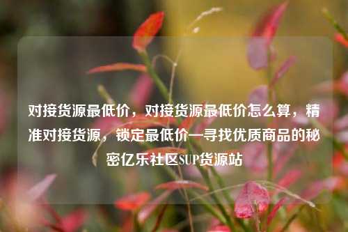 对接货源最低价	，对接货源最低价怎么算，精准对接货源，锁定最低价—寻找优质商品的秘密亿乐社区SUP货源站  第1张