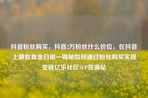 抖音粉丝购买	，抖音2万粉丝什么价位，在抖音上赚取真金白银—揭秘如何通过粉丝购买实现变现亿乐社区SUP货源站  第1张