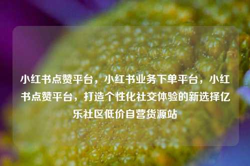 小红书点赞平台，小红书业务下单平台	，小红书点赞平台，打造个性化社交体验的新选择亿乐社区低价自营货源站  第1张