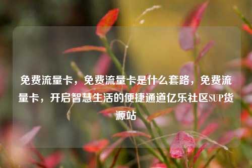 免费流量卡，免费流量卡是什么套路	，免费流量卡，开启智慧生活的便捷通道亿乐社区SUP货源站  第1张