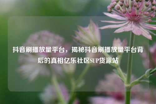 抖音刷播放量平台，揭秘抖音刷播放量平台背后的真相亿乐社区SUP货源站  第1张