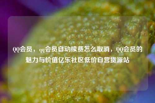 QQ会员	，qq会员自动续费怎么取消，QQ会员的魅力与价值亿乐社区低价自营货源站  第1张