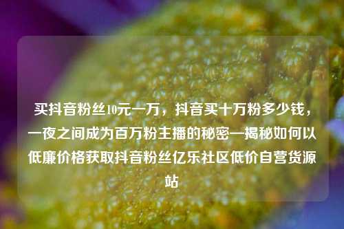 买抖音粉丝10元一万，抖音买十万粉多少钱，一夜之间成为百万粉主播的秘密—揭秘如何以低廉价格获取抖音粉丝亿乐社区低价自营货源站  第1张