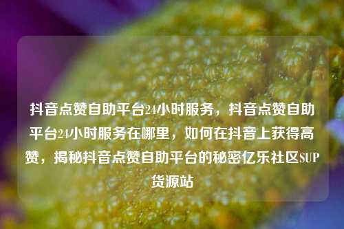 抖音点赞自助平台24小时服务，抖音点赞自助平台24小时服务在哪里	，如何在抖音上获得高赞，揭秘抖音点赞自助平台的秘密亿乐社区SUP货源站  第1张