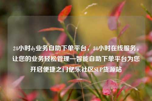 24小时dy业务自助下单平台	，24小时在线服务，让您的业务轻松管理—智能自助下单平台为您开启便捷之门亿乐社区SUP货源站  第1张
