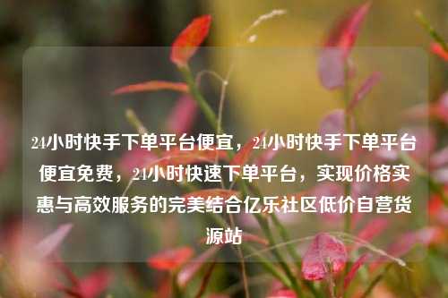 24小时快手下单平台便宜，24小时快手下单平台便宜免费，24小时快速下单平台	，实现价格实惠与高效服务的完美结合亿乐社区低价自营货源站  第1张